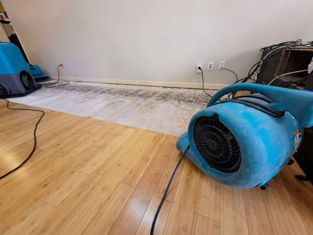 Professional Sewage Cleanup technician working in Mart, TX